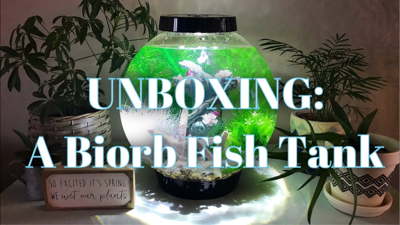 Unboxing A Biorb Fish Tank