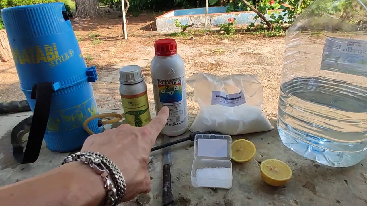 ACEITE NEEM, JABÓN K Y BICARBONATO K