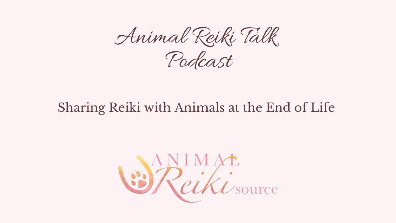 Sharing Reiki with Animals at the End of Life | Animal Reiki Talk