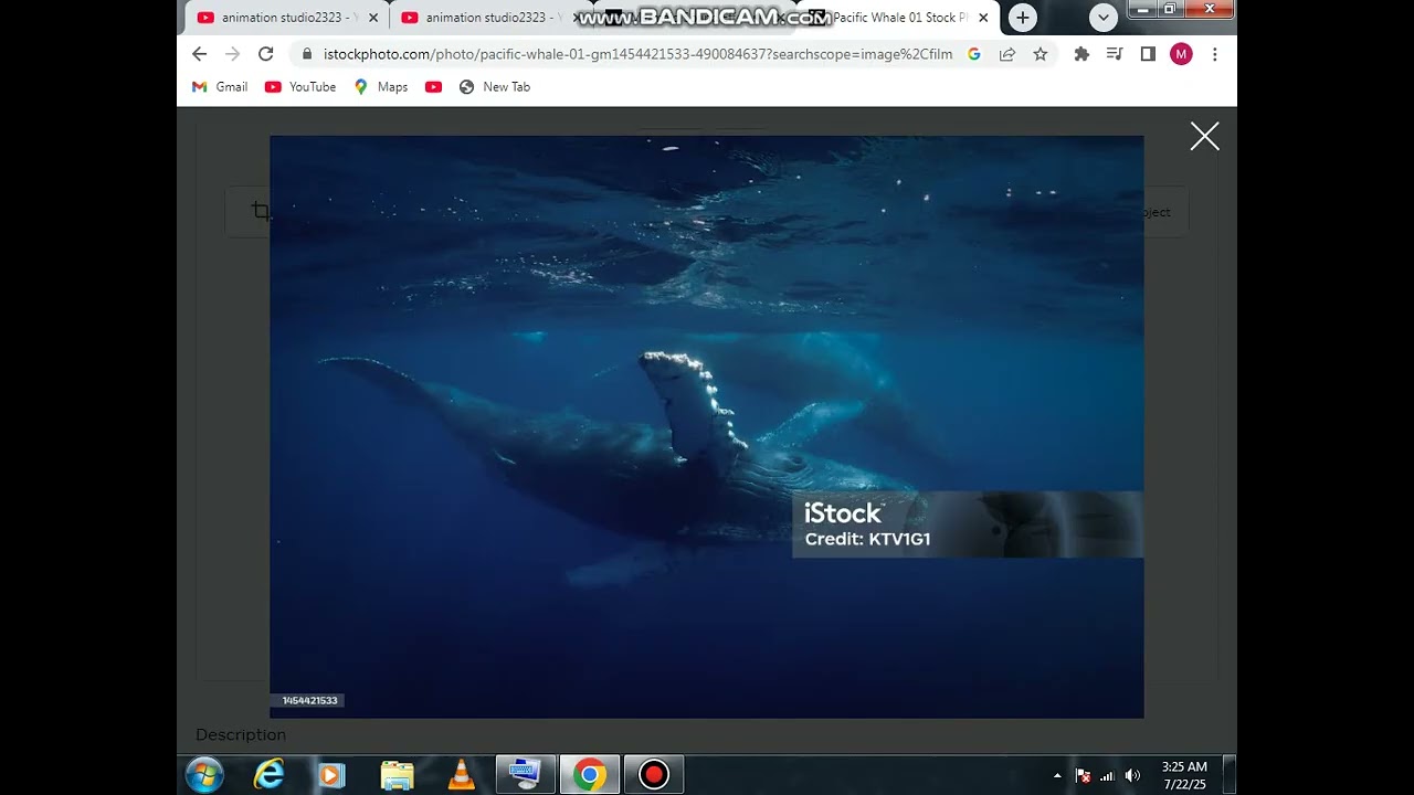 blue whale sound is to scared dont open loud heard  this