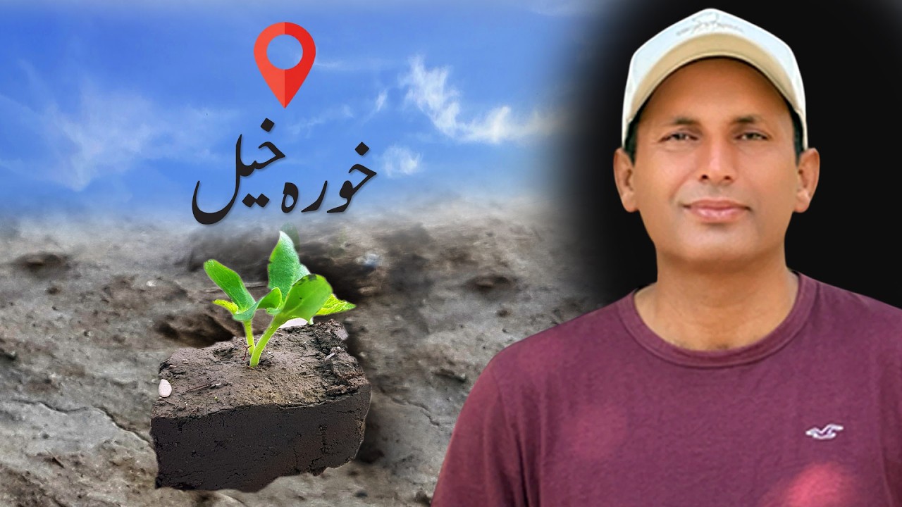 How to Grow Melon in Attock Khura Khail Village | Best Way to Grow Sweet Melons