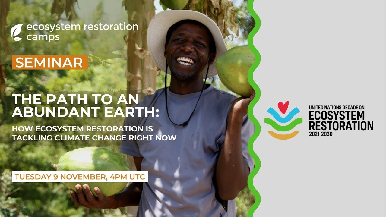 The path to an abundant earth: How ecosystem restoration is tackling climate change right now