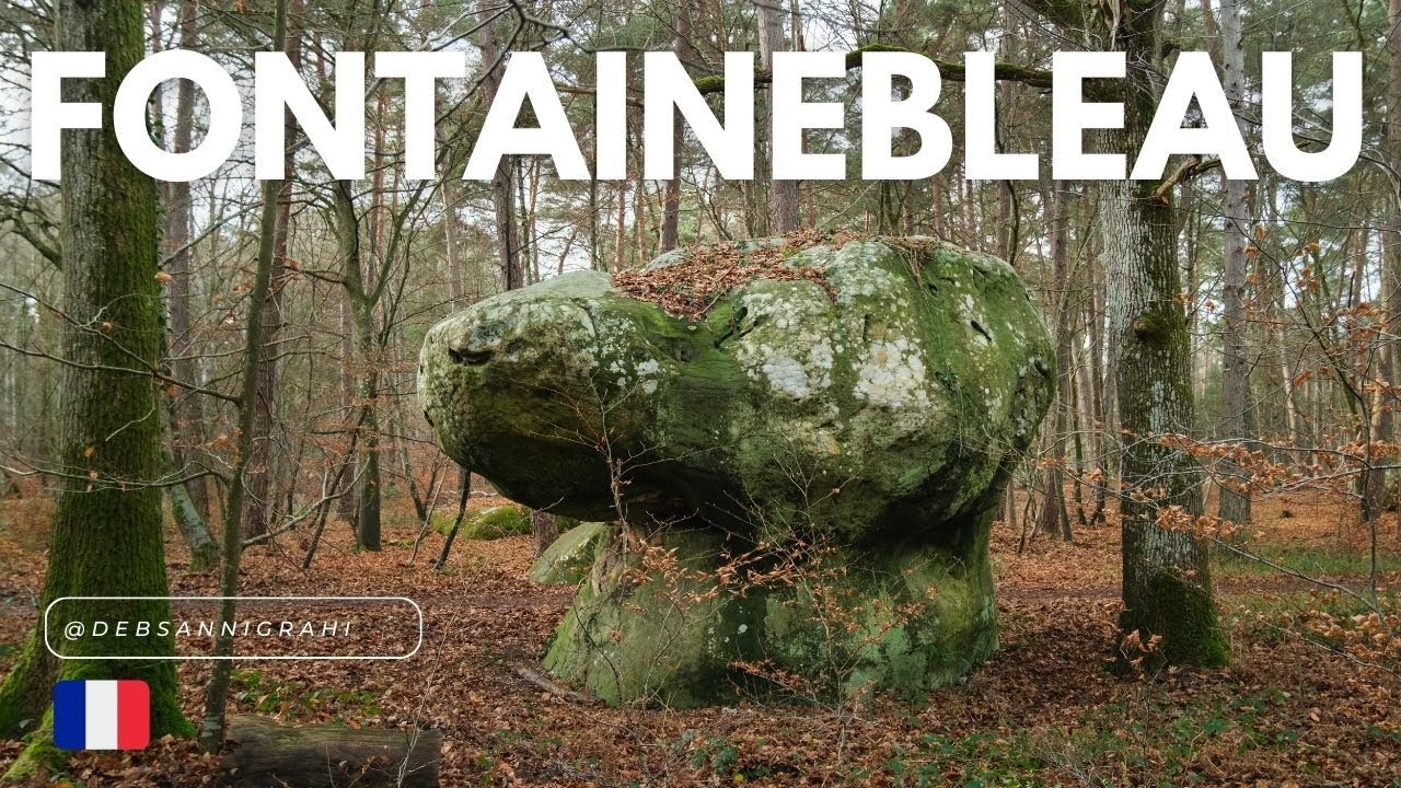 Fontainebleau Forest: Myths, Shadows, and Reality 🌲 🇫🇷