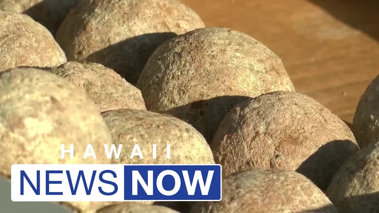 Ala Wai Canal’s water quality is improving — one ‘genki ball’ at a time