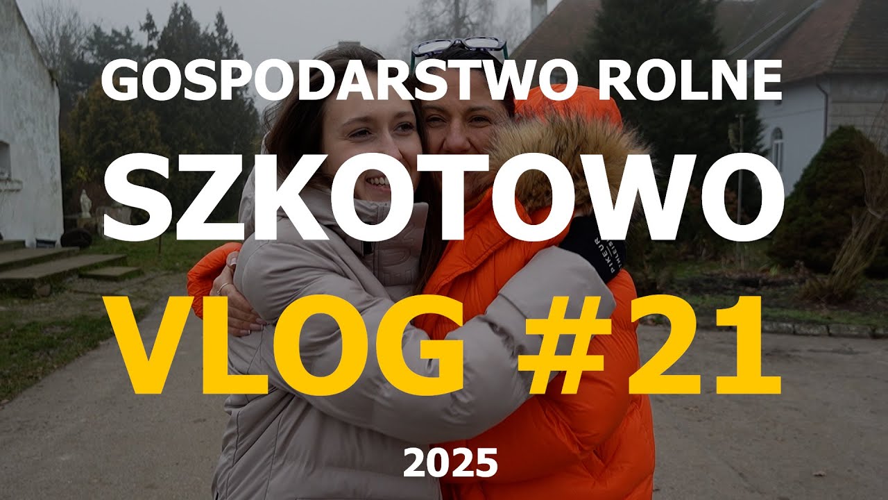 Sadzeniaki w magazynie, kukurydza w suszarni - czas na Święta! // VLOG#21 GR🥔Szkotowo