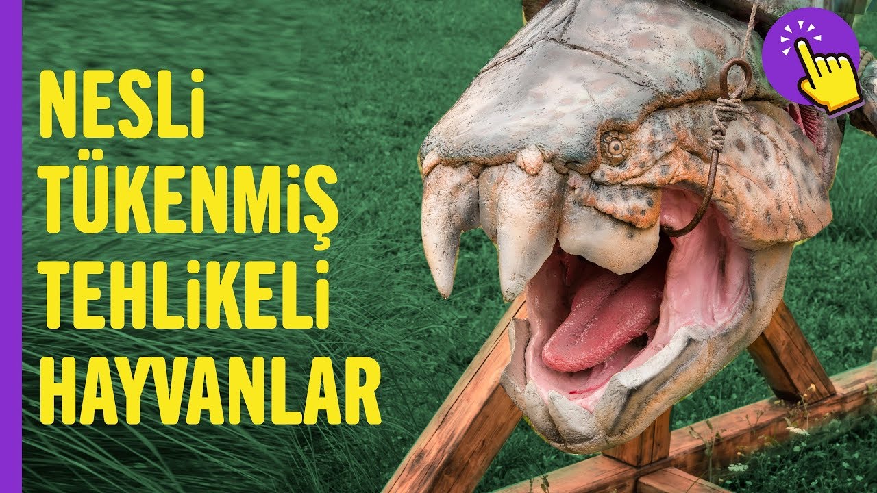 İyi ki nesli tükenmiş diyeceğiniz hayvanlar | İlginç bilgiler | Aklında olsun