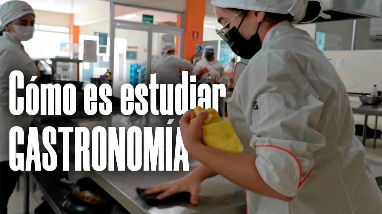 ASÍ ES UN DÍA ESTUDIANDO GASTRONOMÍA
