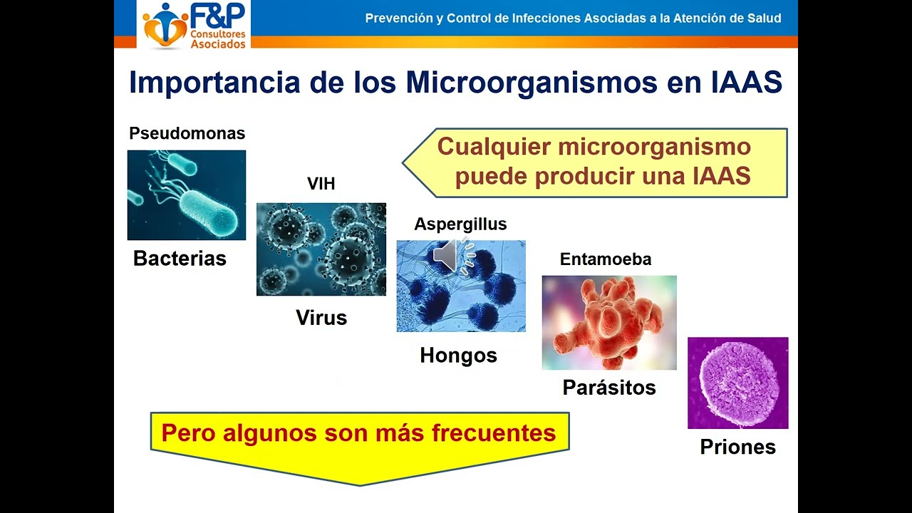 M1 C2 Video Epidemiologia en IAAS 2023