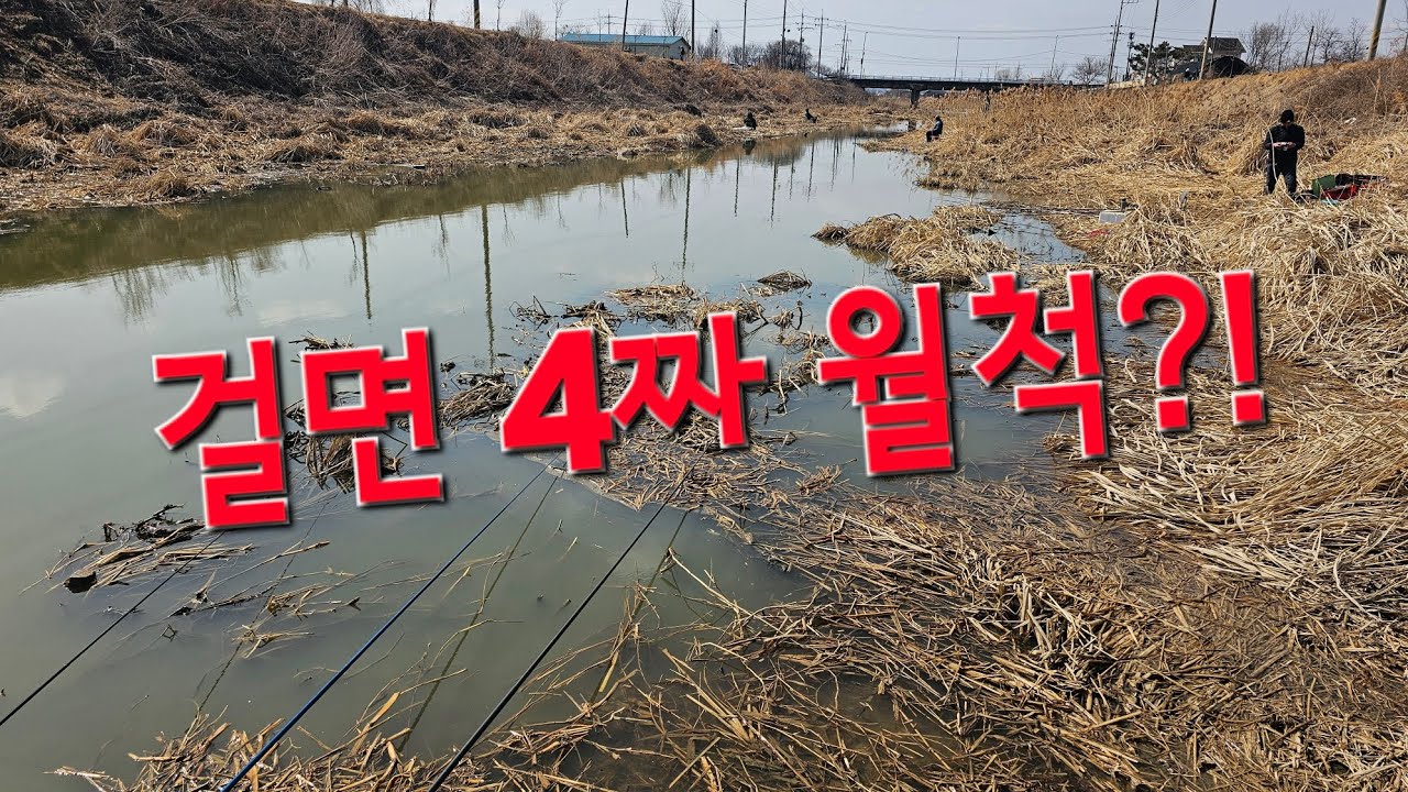 걸면 4짜 월척?! 현지 초고수 어르신께서 4짜 비법전수!!