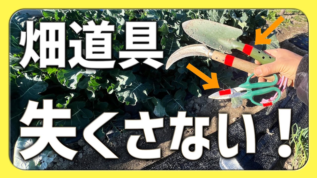 畑道具を失くさない方法｜蛍光テープが最強だった【2026.1.2】