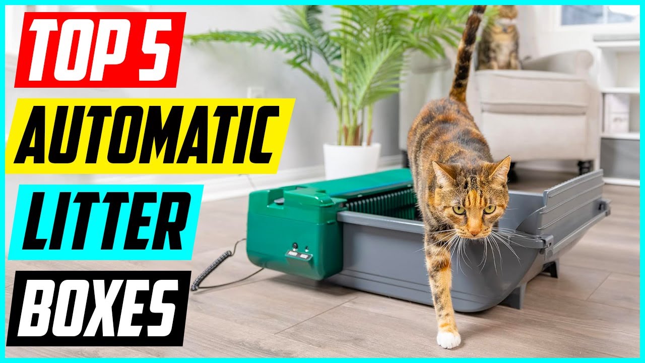 Top 5 Best Automatic Litter Boxes