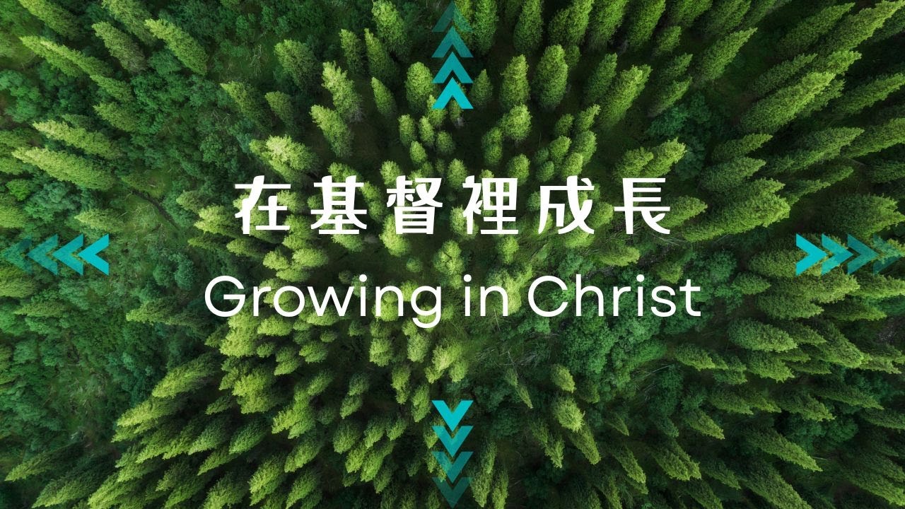 基督里彼此接纳 Accepting One Another in Chris | 阮翔牧師 Pastor Johnny Ruan | 2026-01-18