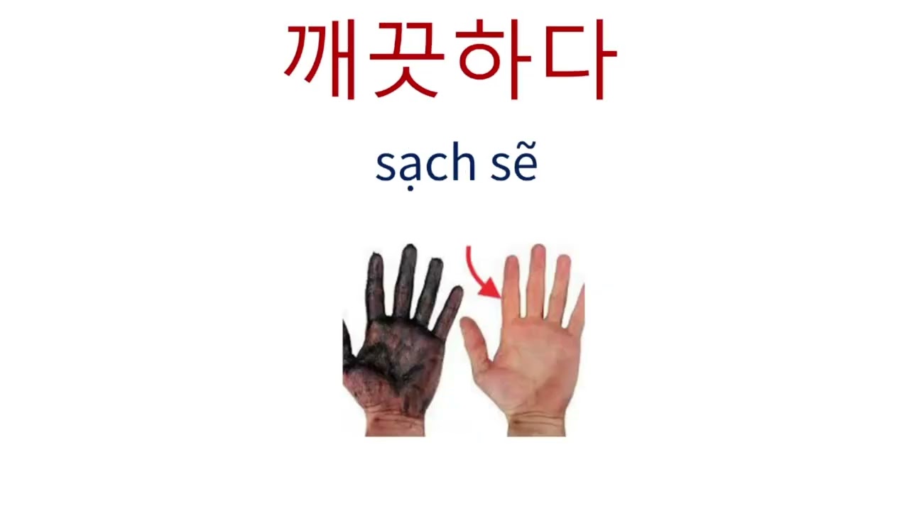 Từ vựng tiếng hàn sơ cấp 2 bài 11