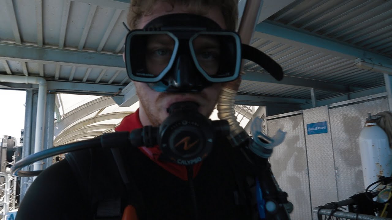 VlogGully 2: The Magical Rescue (Great Barrier Reef, Scuba Diving, and Fish Jokes)