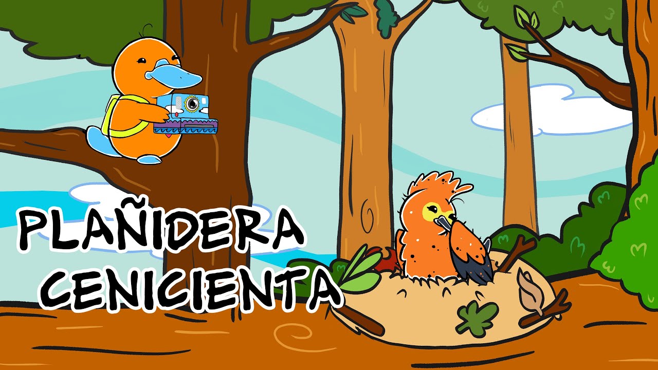 Hola Flinko - Plañidera Cenicienta / Capítulo 20 Completo Temporada 1