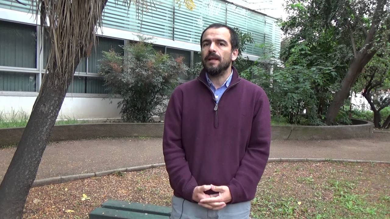 Cristián Bellei analiza los efectos de la revolución pingüina