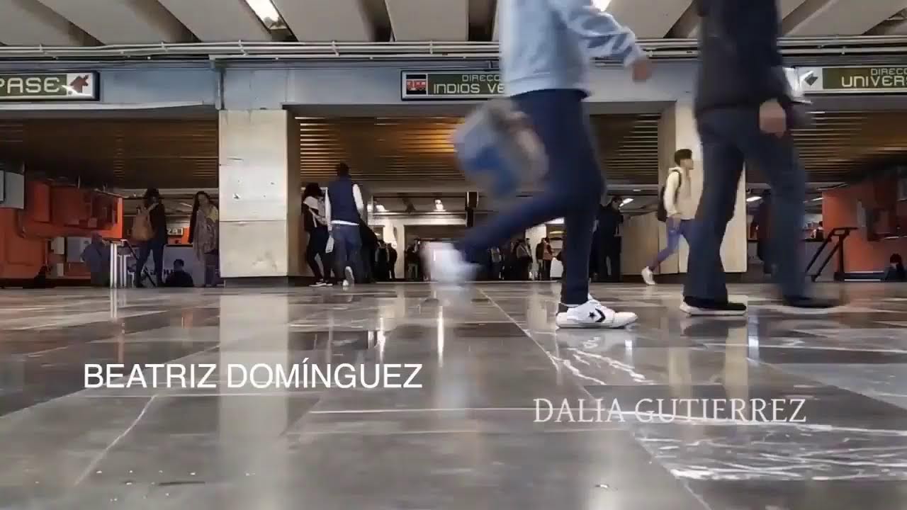 Reforma electoral