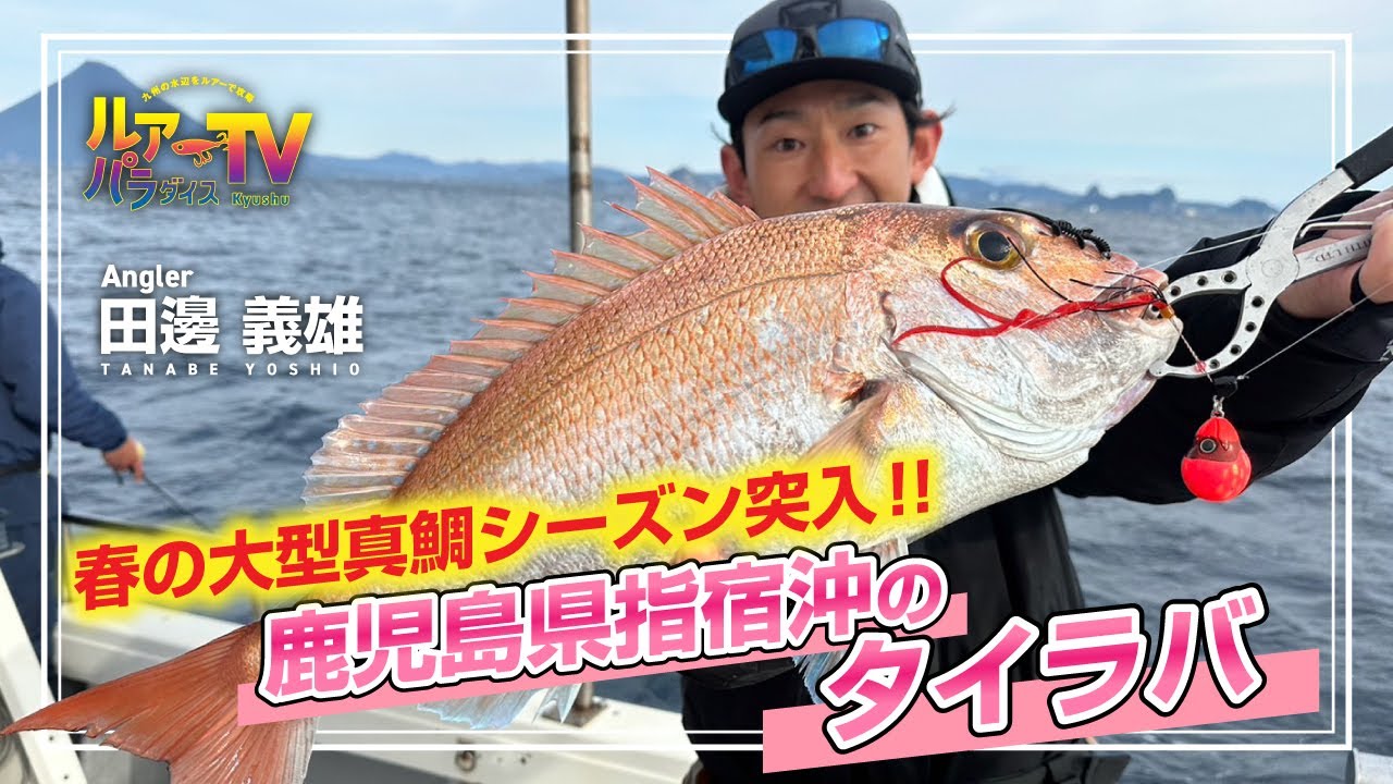 【ルアパラTV】田邊さんの鹿児島県指宿沖タイラバ[3月16日放送]