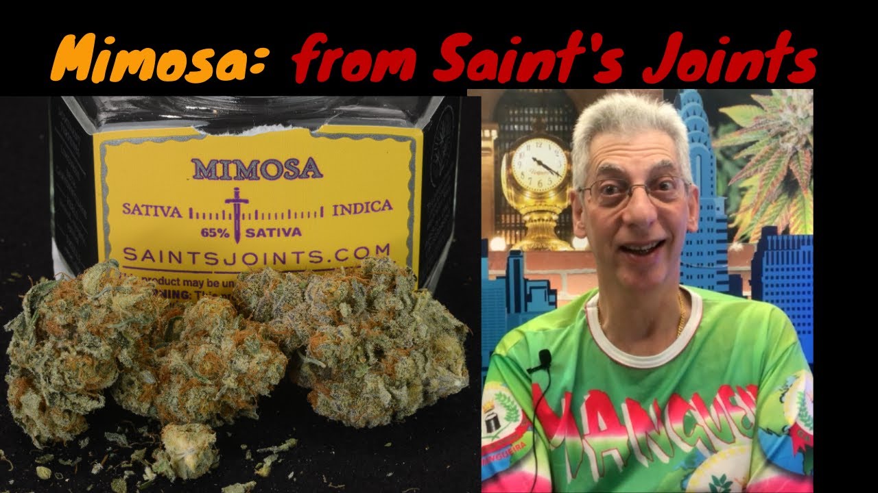 Mimosa Cannabis Strain Review. Saints Joints