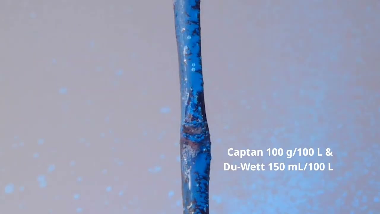 Captan fungicide - Optimal spread with adjuvants