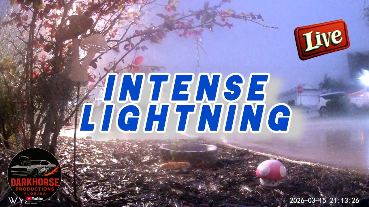 Live Florida Severe Thunderstorms Lightning and Thunder Heavy Rain
