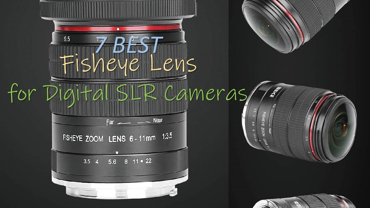 🏕️🌃The 7 Best Fisheye Lens for Digital SLR Cameras