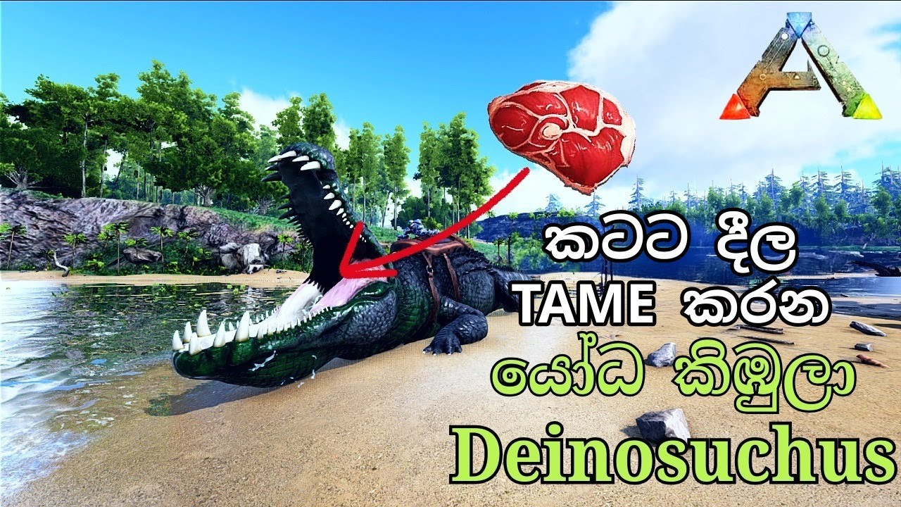 කටට MEAT දීල TAME කරන යෝධ කිඹුලා | ARK: Survival Evolved - Sinhala Gameplay
