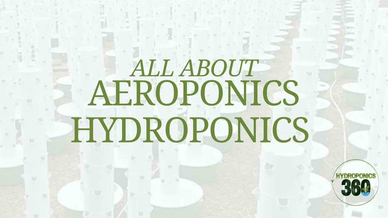 All About Aeroponics vs Hydroponics - hydroponics360.com