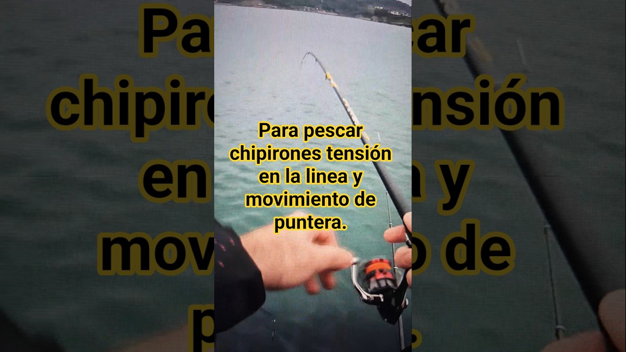 Así pesco yo los chipirones.  