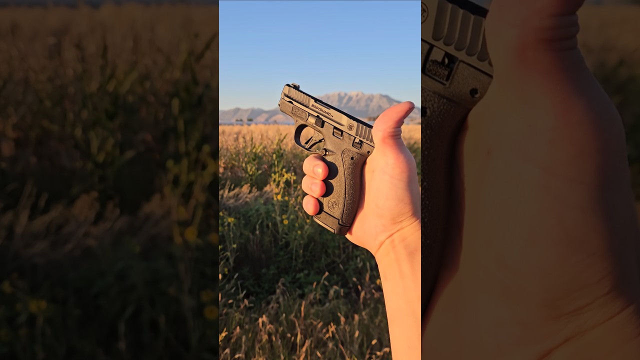 Smith&Wesson Bodyguard 2.0 .380 acp