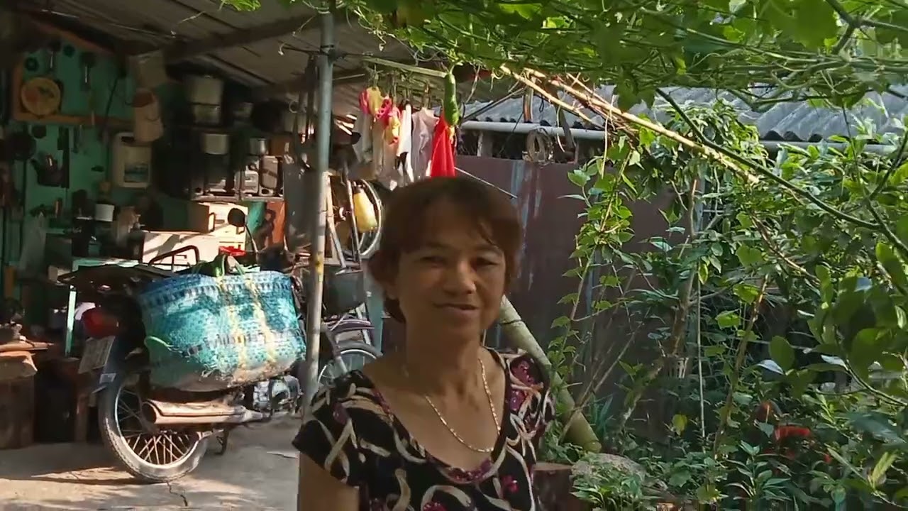 Những khoảng khắc bình yên của nhà tôi