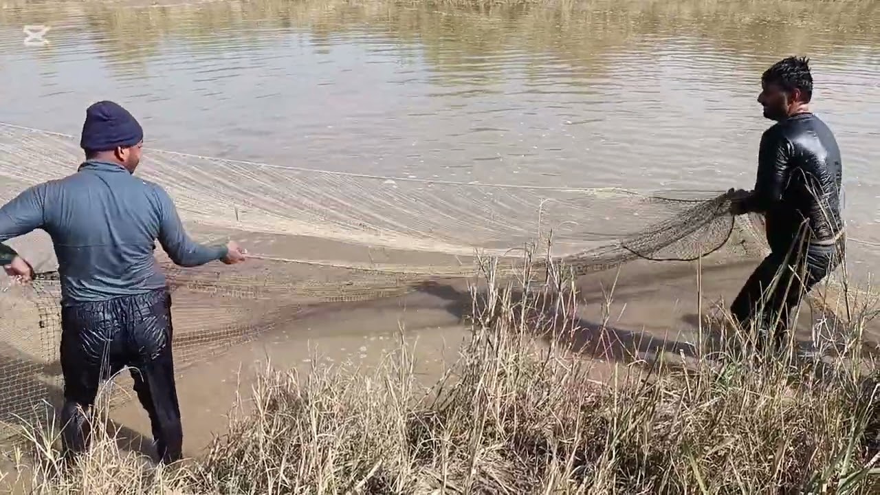 Amezing fishing video net fishing 