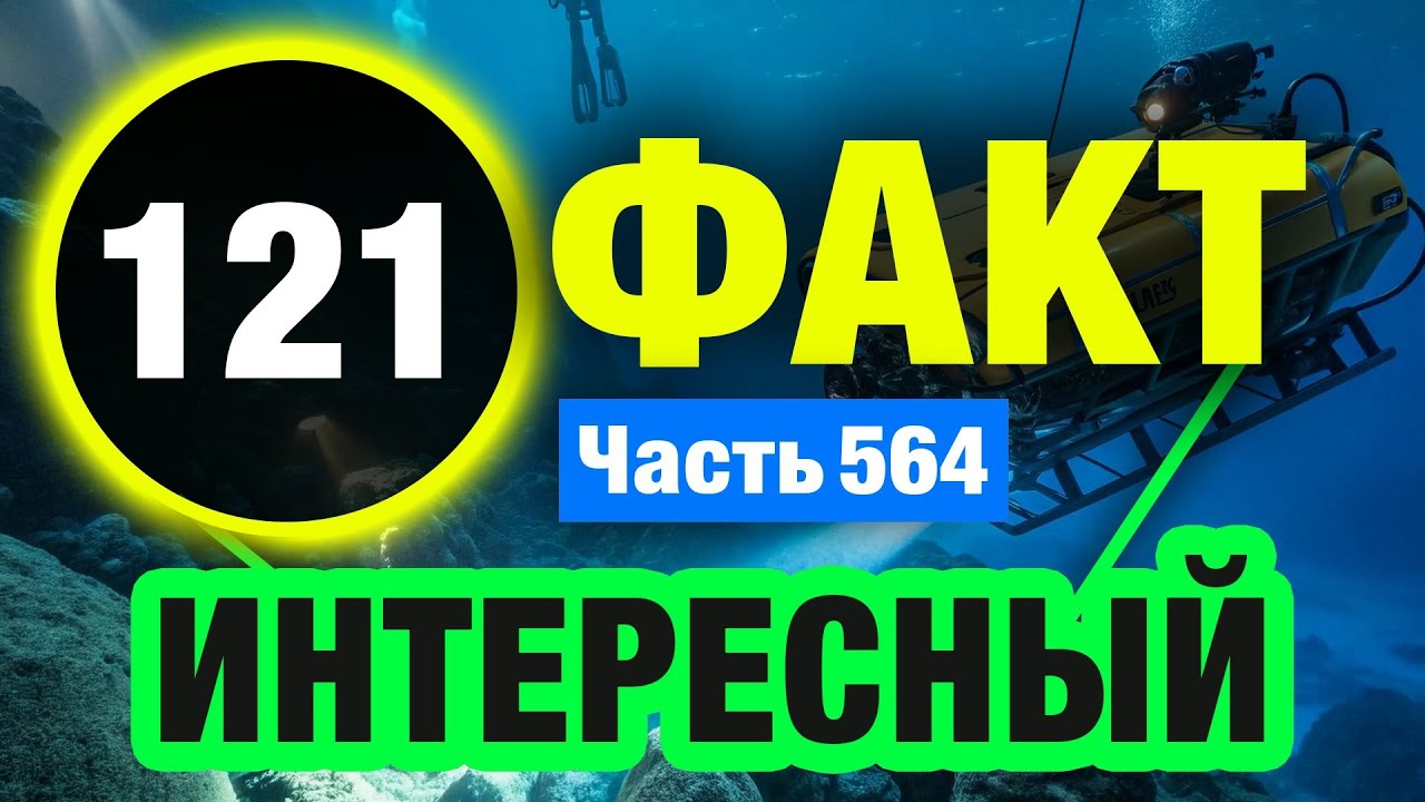 121 Великолепный Факт В Который Вы Не Поверите