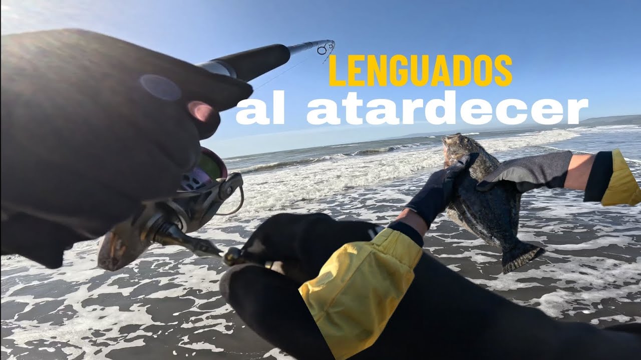 Lenguados al atardecer en el Maule 