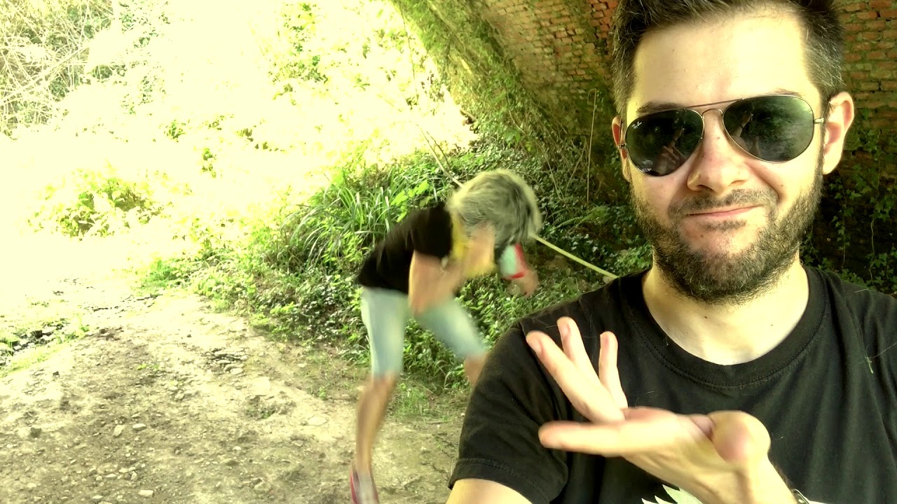 Animals Martin Garrix Metal Cover - Fifty Walls feat Daniele Cristellon
