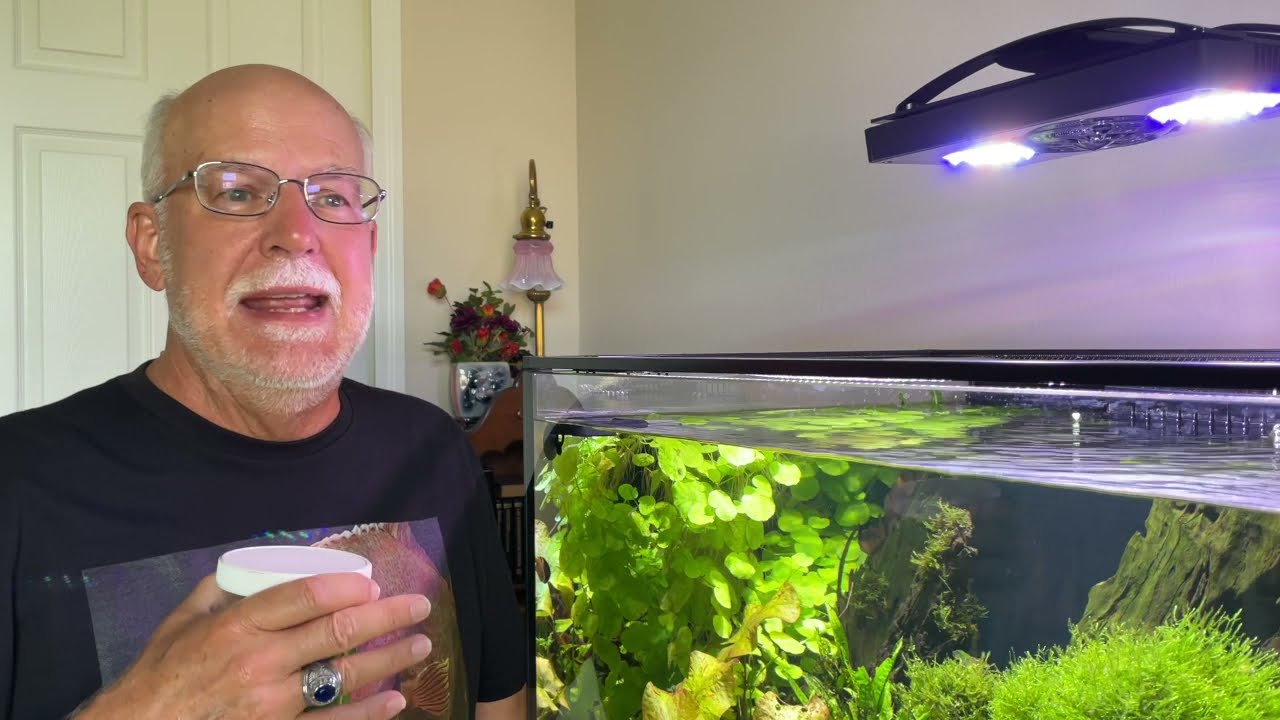 How to get rid of Blue Beard and Brush Algae in the Aquarium. Anoxic Filtration and Plenums:Kevin
