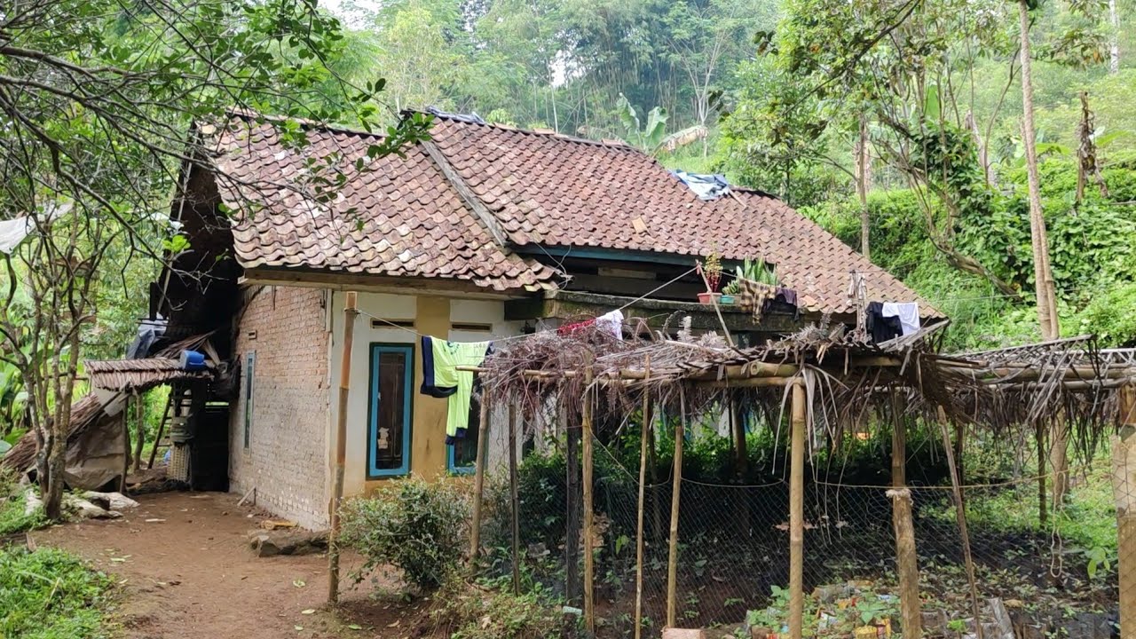 KUNJUNGAN YANG KE TIGA KALINYA HANTARKAN TITIPAN AMANAH KEPADA SATU KELUARGA YANG TINGGAL DI HUTAN