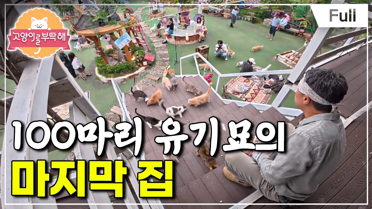 [Full] 고양이를 부탁해 - 100마리 유기묘의 마지막 집