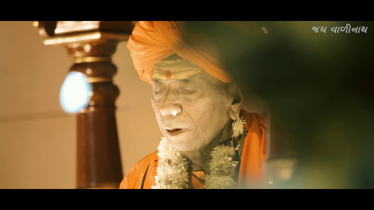 હૈયું રોવે છે બાપુ ની યાદ Baldevgiri Bapu ni Yaad ma બળદેવગિરિ બાપુની યાદમાં # baldev giri bapu
