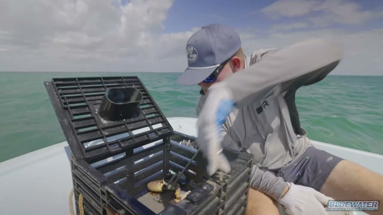 Setting Recreational Stone Crab Traps on a Classic 17 Whaler