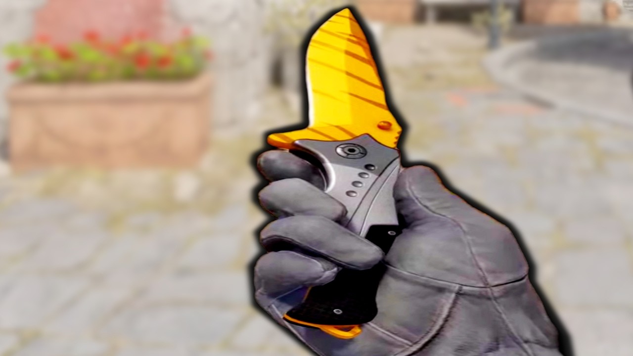 which knife should i buy?