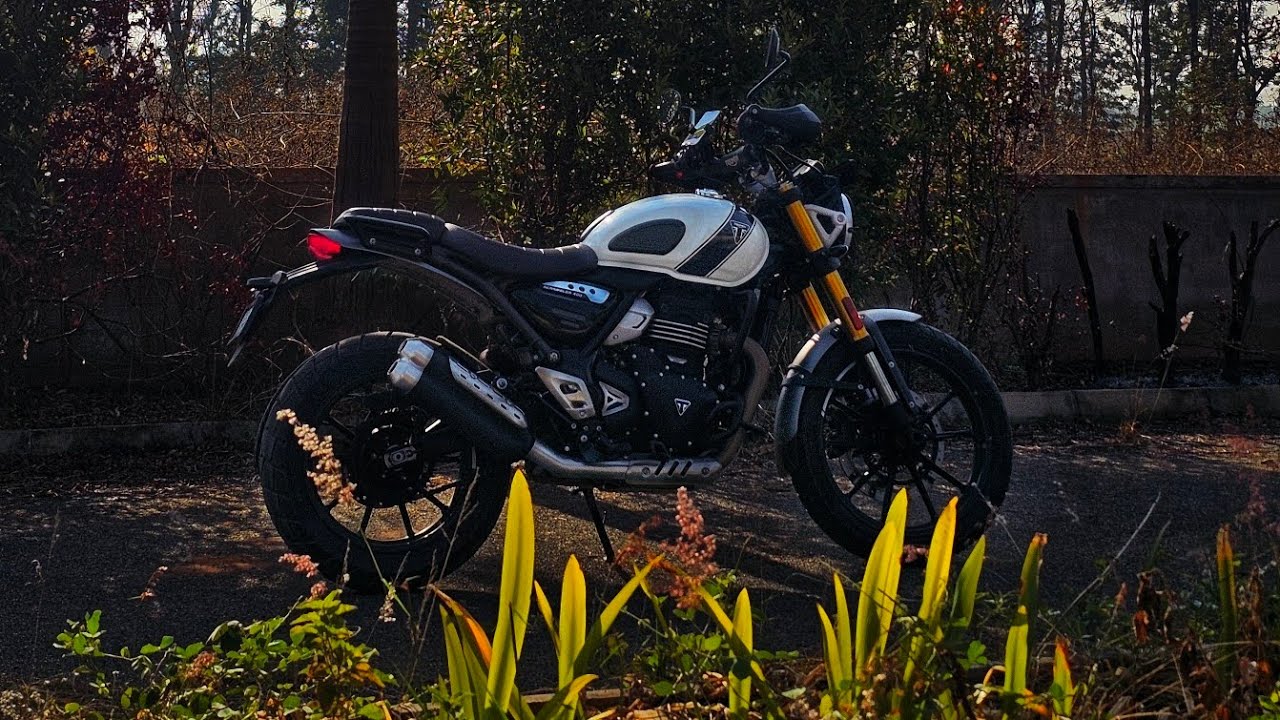 The Scrambler Rumble: Ultimate 400x Therapeutic Forest Ride