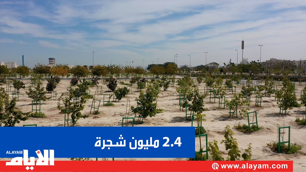 2.4 مليون شجرة تزين البحرين محققة 67% من هدف خطة التشجير لـ 2035