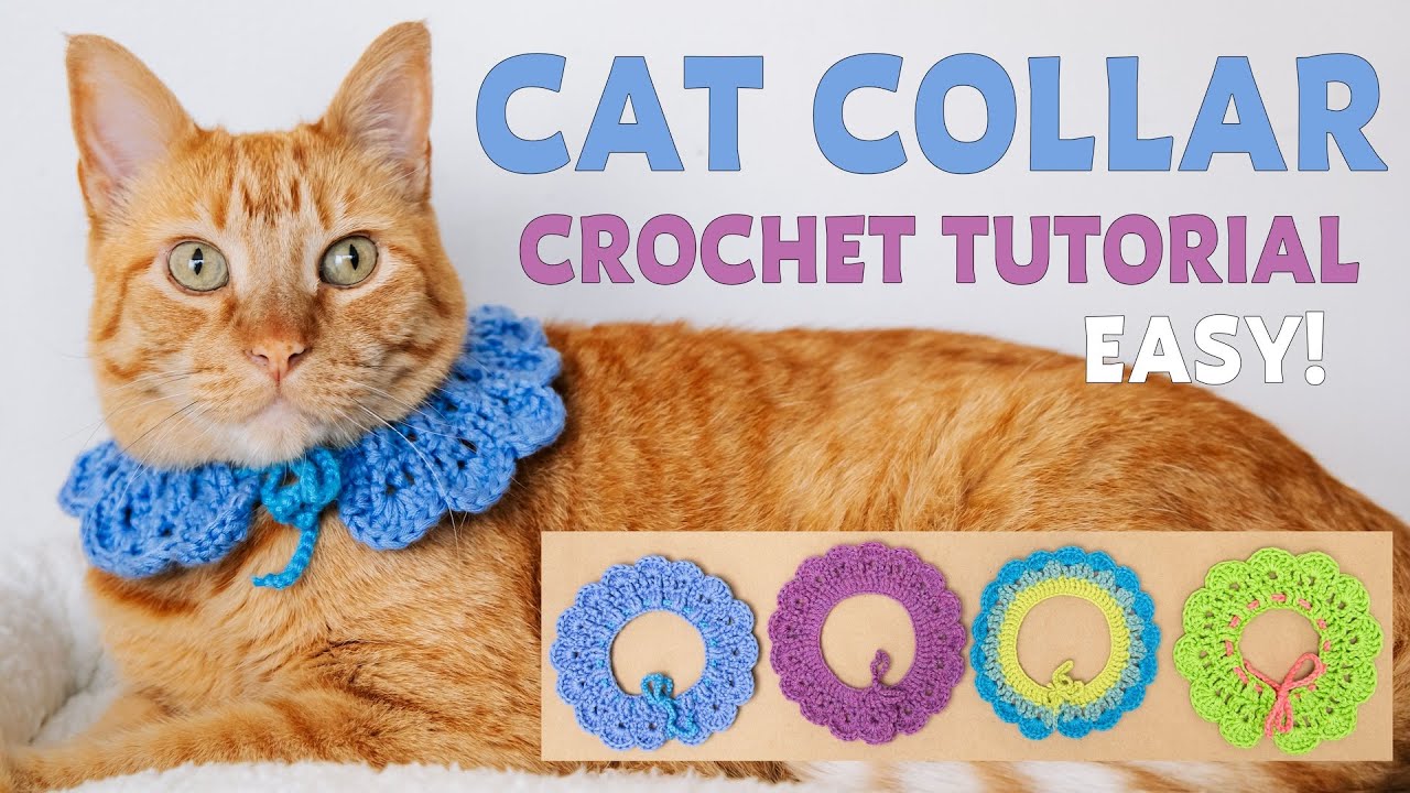 Easy Crochet Cat Collar Tutorial | Quick & Cute DIY for Any Pet!
