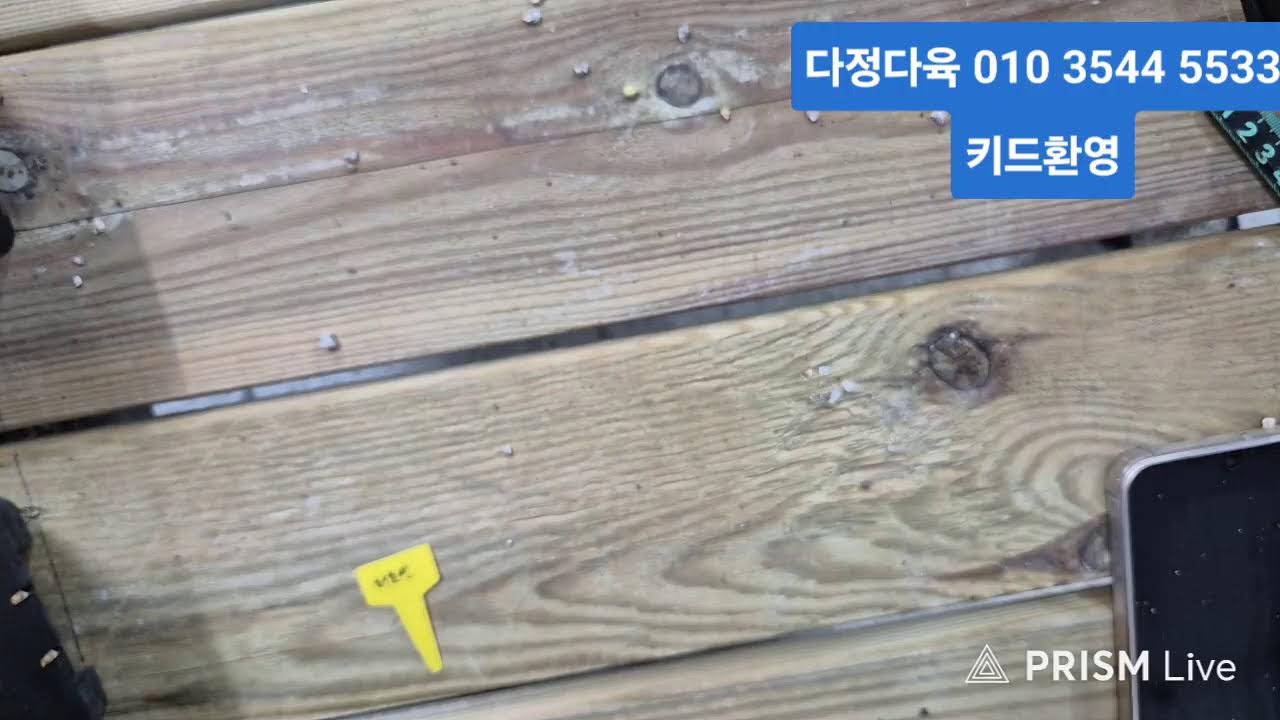 다정다육 라이브 방송