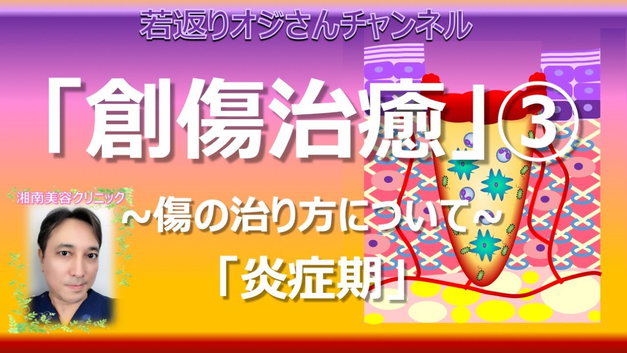 創傷治癒③ ~傷の治り方について~「炎症期」