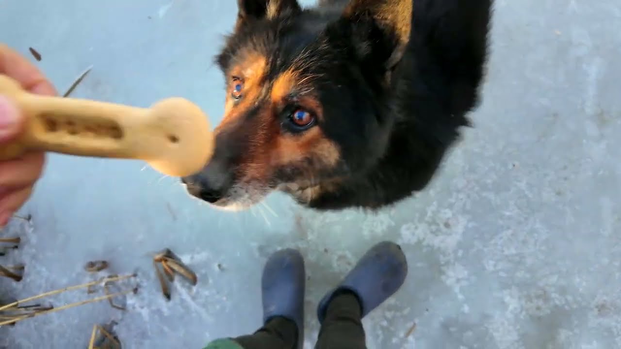 #Славянск. 5 марта 2026г. Вечер.