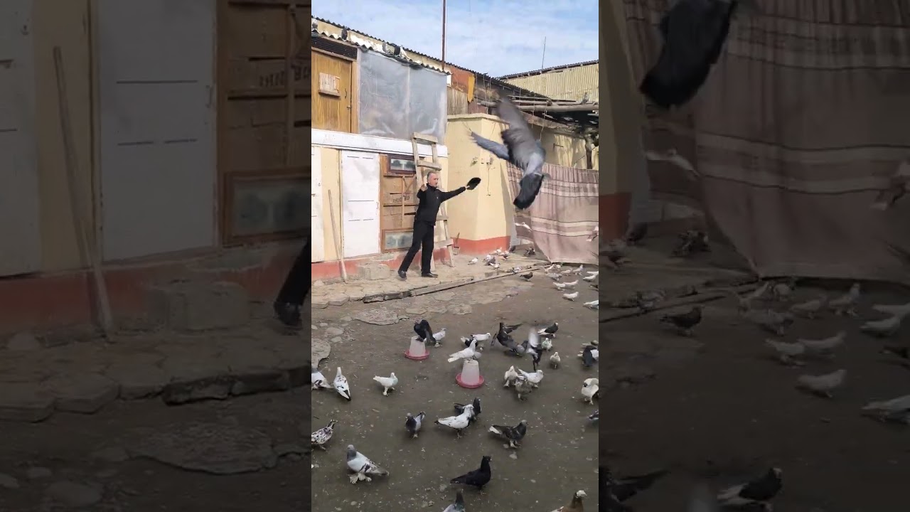 15 февраля 2026 г.