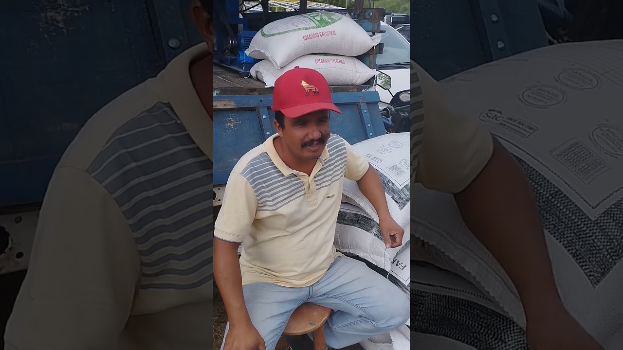 ra&ccedil;&atilde;o animal e forrageiras &agrave; venda na feira de animais da vila jerimum Taquaritinga do Norte-PE