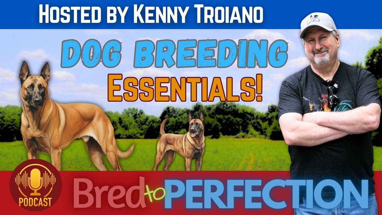 So, You Want to Become a Dog Breeder?